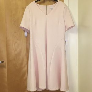 Fit and Flare Light Baby Pink Calvin Klein Dress